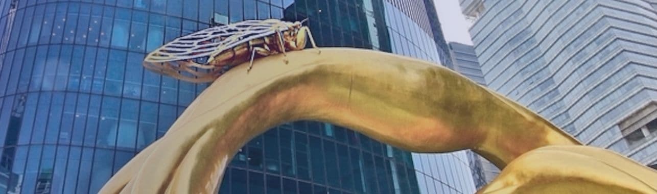 lv���ʹ���